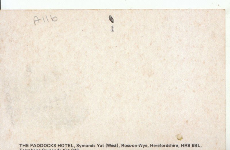 Herefordshire Postcard - The Paddocks Hotel - Symonds Yat - Ref 11248A