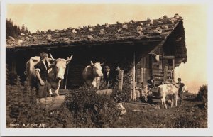 Switzerland Auf der Alp Vintage RPPC C217