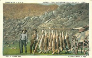 Glorieta Pass, New Mexico Old Pigeon Ranch Dead Deer Linen Postcard