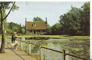 Essex Postcard - Bourne Mill - Colchester - Ref 20360A