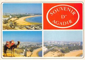 BG14066 agadir vue panoramique la plage camel morocco