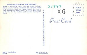 Maple Sugar Time In New England Unused 