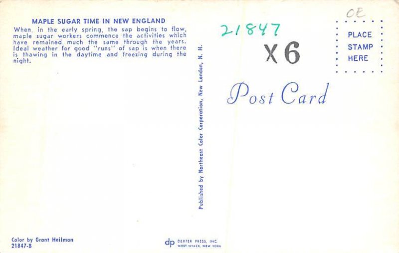 Maple Sugar Time In New England Unused 