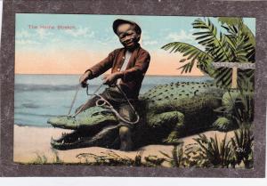 Black Americana ALLIGATOR BOY RIDES Postcard 