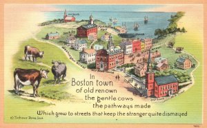 Vintage Postcard Boston Streets Old Renown Gentle Cows Pathways Massachusetts MA