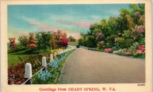 1940s Greetings from Shady Spring Raleigh County West Virginia Postcard