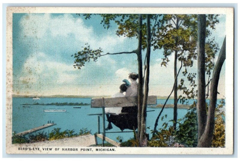 c1920 Birds Eye View Harbor Point Steamer Cruise Ship Lake Michigan MI Postcard