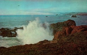 Vintage Death Rock Duncan's Landing Sonoma, CA Postcard F84 