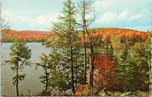 Greetings from Sylvan Lake Alberta AB w/ Queen Elizabeth ll Stamp Postcard H15