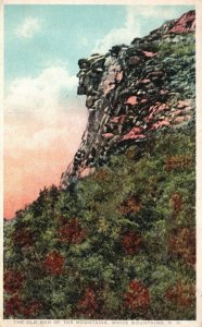 Vintage Postcard Old Man Of The Mountains Rock White Mountains New Hampshire NH