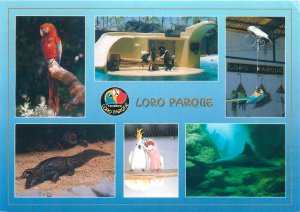 Postcard Spain Loro Parque parrots crocodile shark
