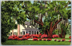 Vtg Mobile Alabama AL Old Southern Home Moss Covered Oaks Azaleas 1940s Postcard