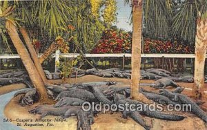 St Augustine, FL, USA Casper's Alligator Jungle Unused 