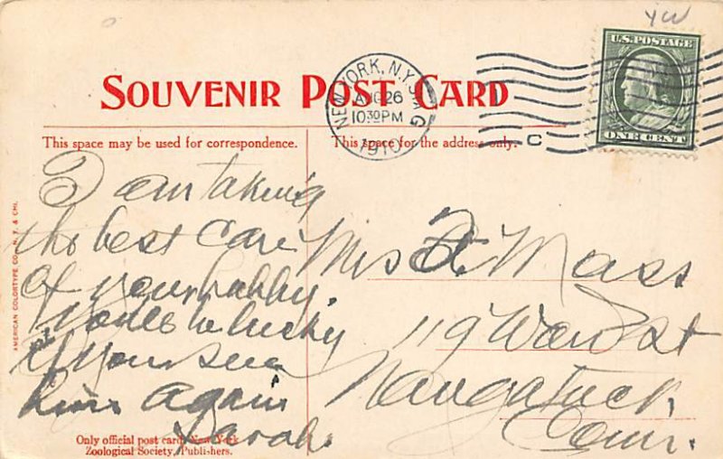 Red Deer Herd Deer 1910 