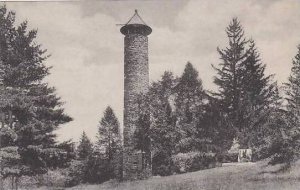 New Hampshire Hanover Dartmouth College Tower And Pine Stump Albertype