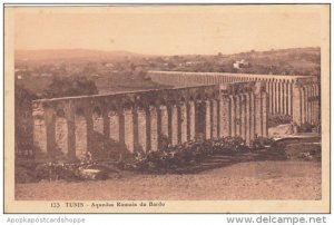 Tunisia Tunis Aqueduc Romain du Bardo