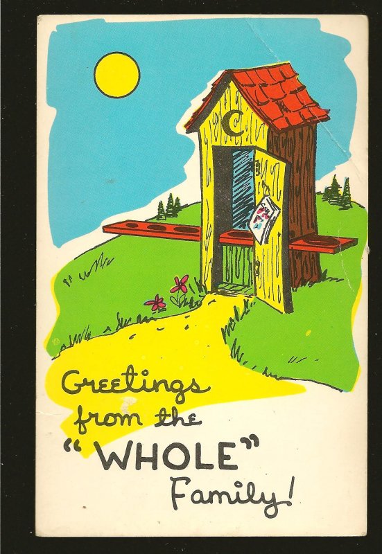 Vintage Greeting From The Whole Family (Outdoor Toilet) Humour Color Postcard