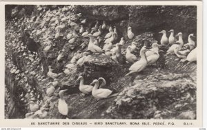 RP: PERECE , Quebec , 1956 ; Bird Sanctuary , Bona Isle