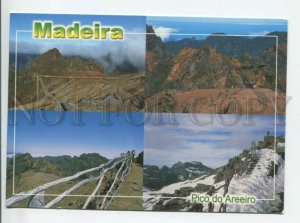 441484 Portugal 2006 year Madeira RPPC to Germany E stamp