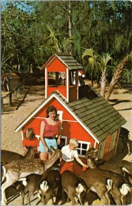 postcard FL - Silver Springs - Barlett's Deer Ranch - Children feeding deer