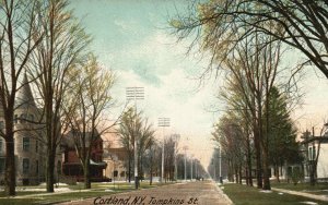 Vintage Postcard 1900'sTmpkins St. Cortland NY New York Street View