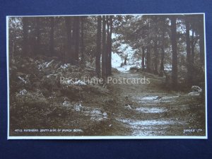 Surrey HINDHEAD South Side Punch Bowl c1916 RP Postcard by Judges / M.S Deighten