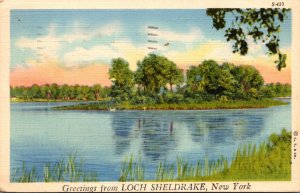 New York Greetings From Loch Sheldrake 1950 Curteich