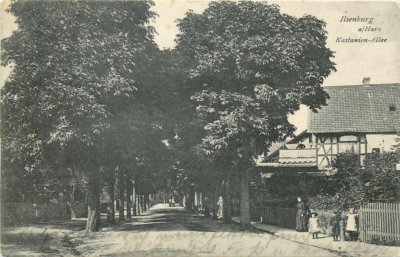 AK Sachsen-Anhalt Ilsenburg (Harz) Kastanien Allee