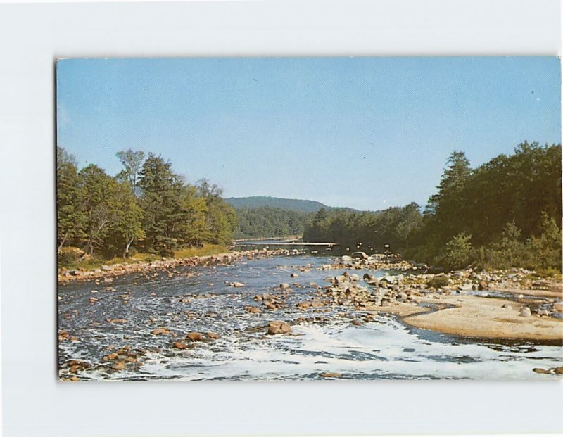 Postcard The Pemigewasset River North of Plymouth New Hampshire USA