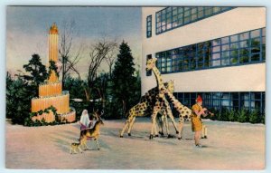 PROVIDENCE, RI ~ Art Deco CALART BUILDING Christmas Decorations 1940s  Postcard