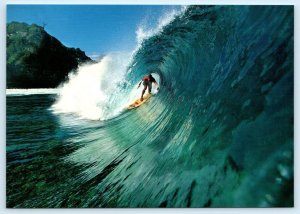 NORTH SHORE, Maui Hawaii HI ~ Surfer FRED VERN 5x7  Postcard 2001