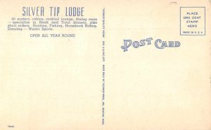 Fish Camp California Silver Tip Lodge Vintage Postcard AA9229