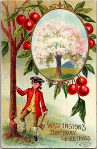 George Washington With Cherry Tree, Blossoms Embossed Vintage Postcard N60