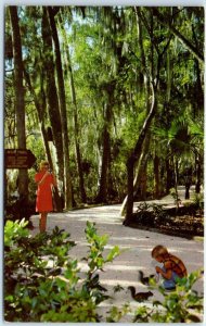 Postcard - Homosassa Springs, Florida