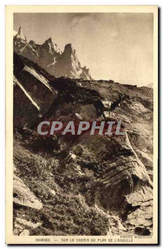 Old Postcard Chamonix on Chemin du Plan Aiguille