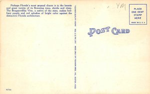 Purple Bougainvillea Vines Flowers FL Postcard