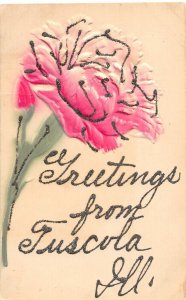 F47/ Tuscola Illinois Postcard c1910 Glitter Greetings from Tuscola