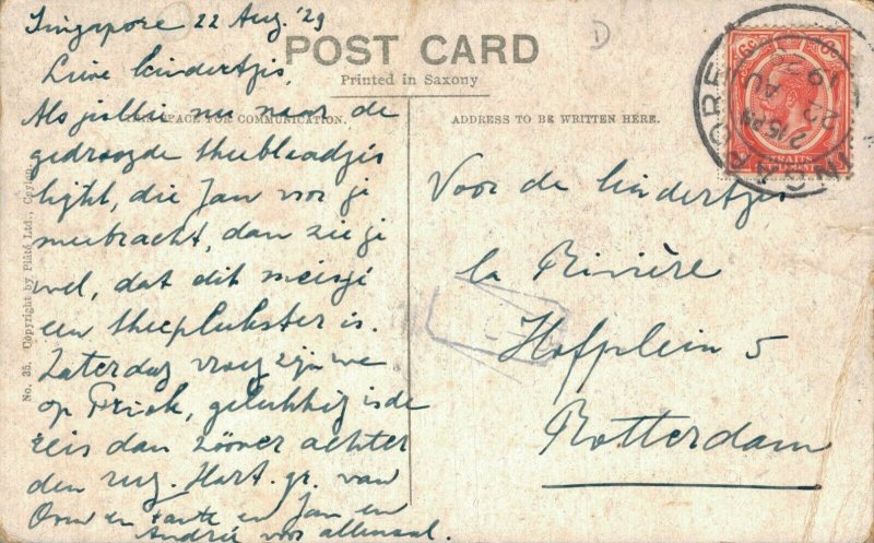 Sri Lanka Ceylon A Tea Plucker Ceylon 06.43