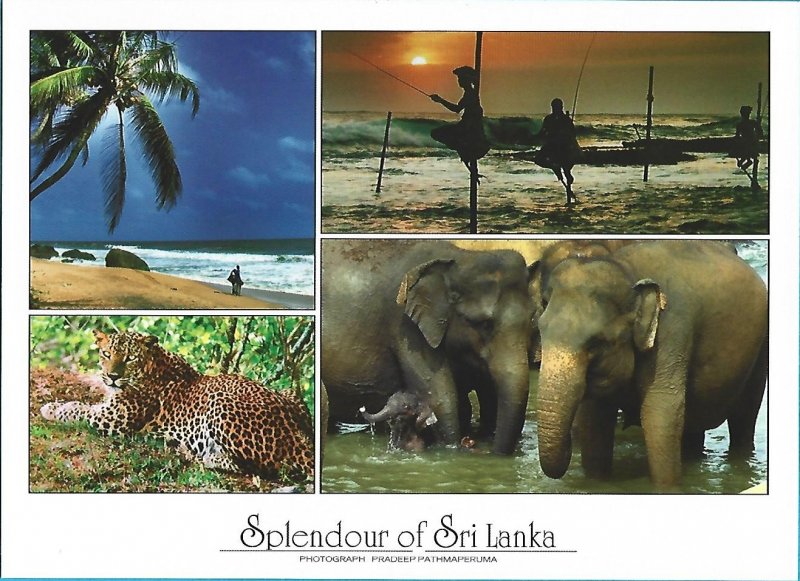 SRI LANKA NATURE - ELEPHANTS / LEOPARD / BEACH - MAIL CARD FROM SRI LANKA