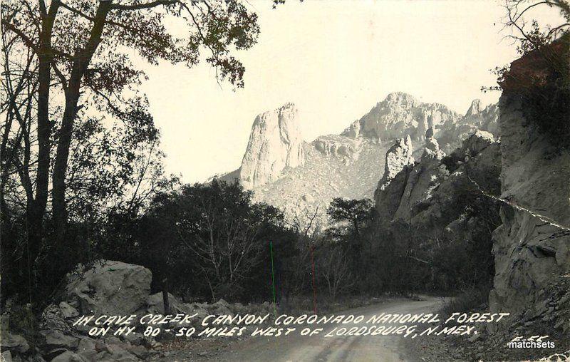 1940s Lordsburg New Mexico Cave Creek Canyon Forest RPPC postcard 8937 Cook