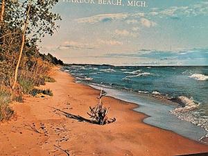 Postcard Driftwood on Great Lakes Shoreline.      W1