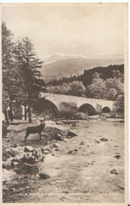 Scotland Postcard - Old Bridge of Dee - Braemar - Aberdeenshire - Ref TZ8060