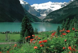 Lake Louise,Banff,Albeta,Canada