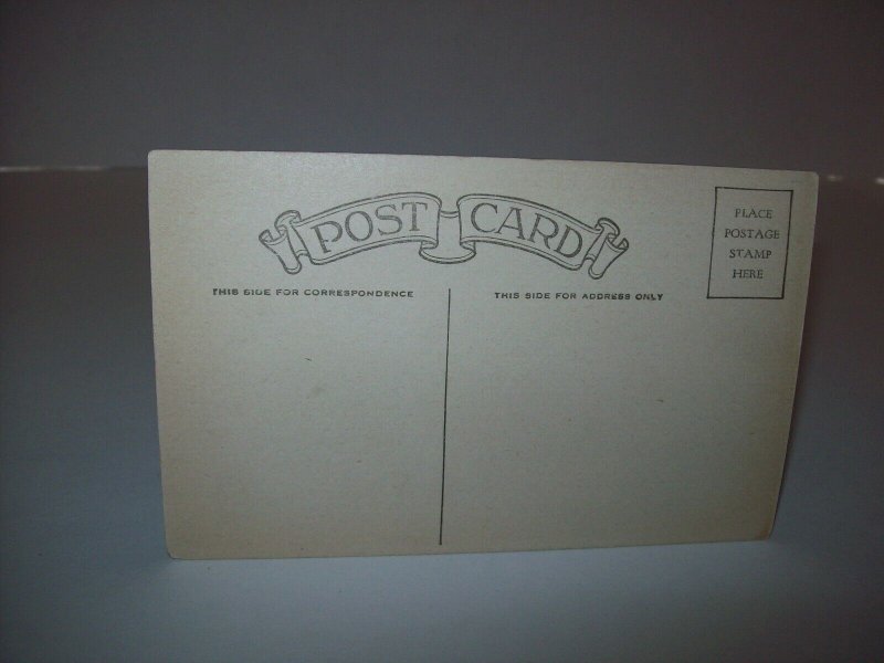 Carmel Myers Postcard Unused Vintage American Actress Silent Films Arcade Card