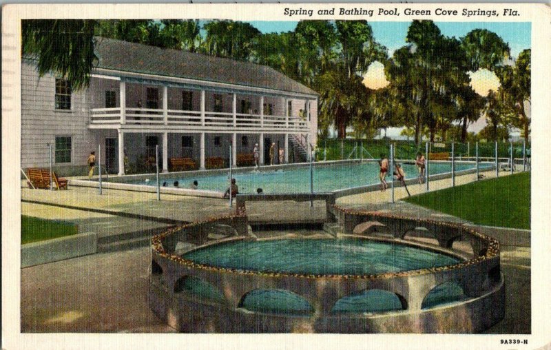 Spring Bathing Pool Green Cove Springs FL Vintage Postcard Standard View Card 