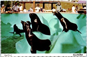 Postcard - Seal Pool - Sea World