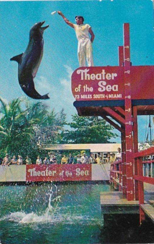 Florida Keys Jumping Porpoise At Theatre Of The Sea At Islamorada 1958