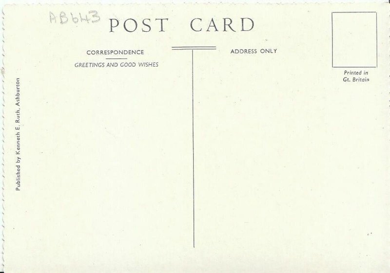 Devon Postcard - Clapper Bridge, Postbridge, Dartmoor   AB643