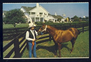 Dallas, Texas/TX Postcard, Quarter Horse, Southfork Ranch, TV Show Dallas