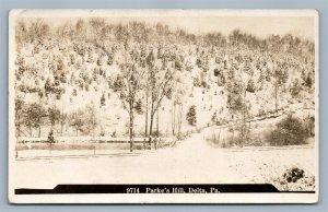 DELTA PA PARKE'S HILL ANTIQUE REAL PHOTO POSTCARD RPPC